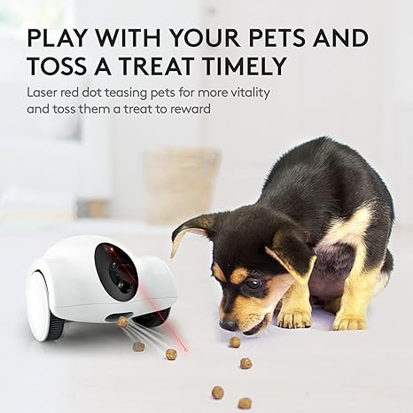 Smart Pet Camera